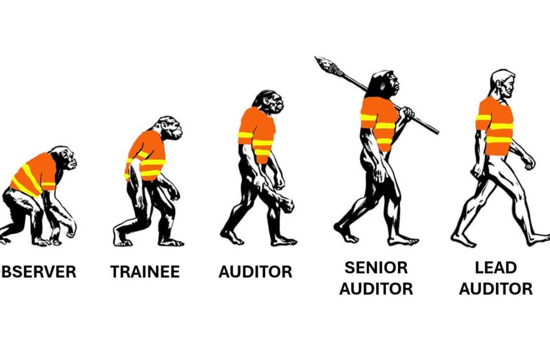 Evolution of a Road Safety Auditor