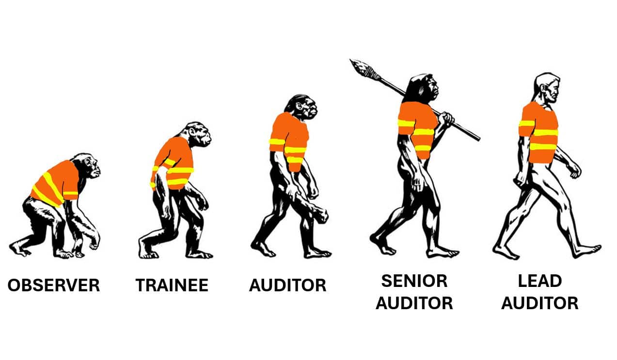 Evolution of a Road Safety Auditor