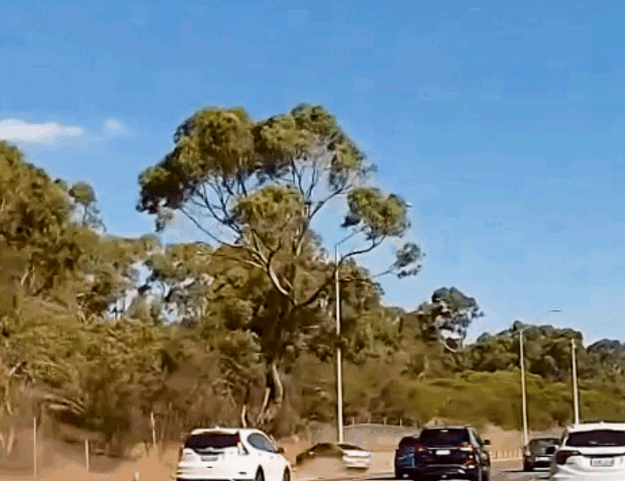 Safe System Snippet 511: Slip Based Poles