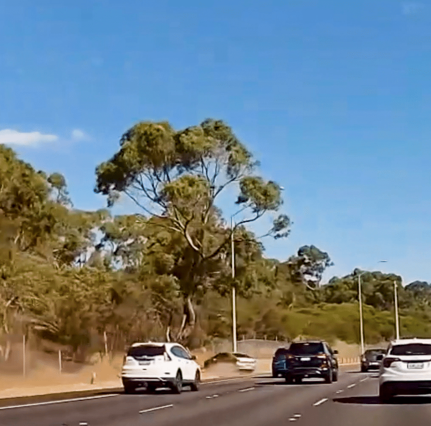 Safe System Snippet 511: Slip Based Poles