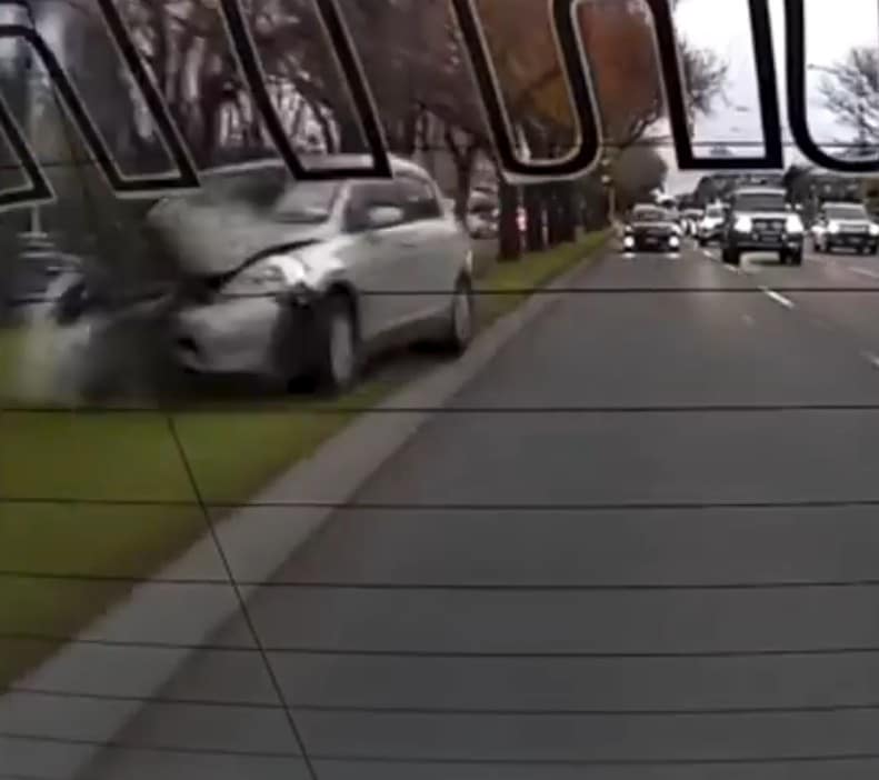 Safe System Snippet 565: Trees and road safety can mix