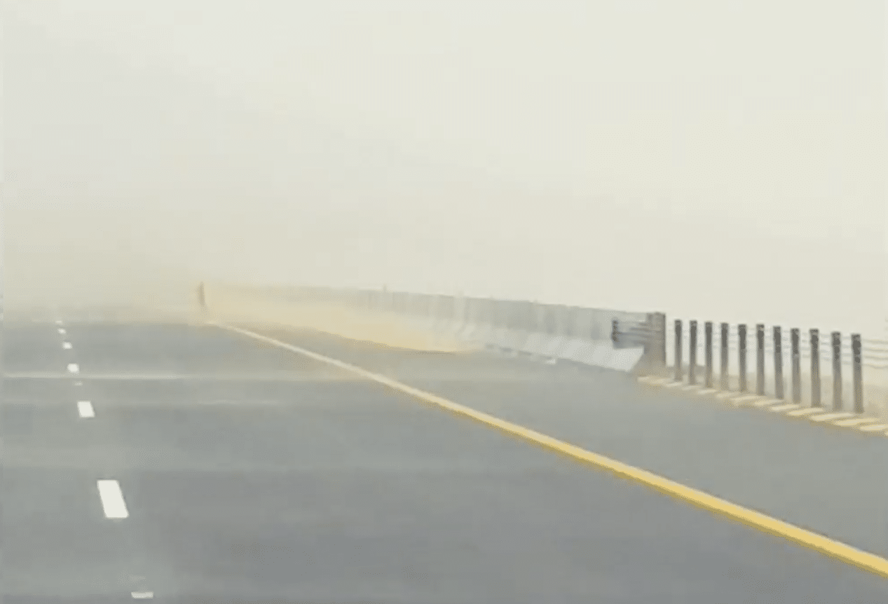 Safe System Snippet 568: An Unexpected Benefit of Wire Rope Barriers